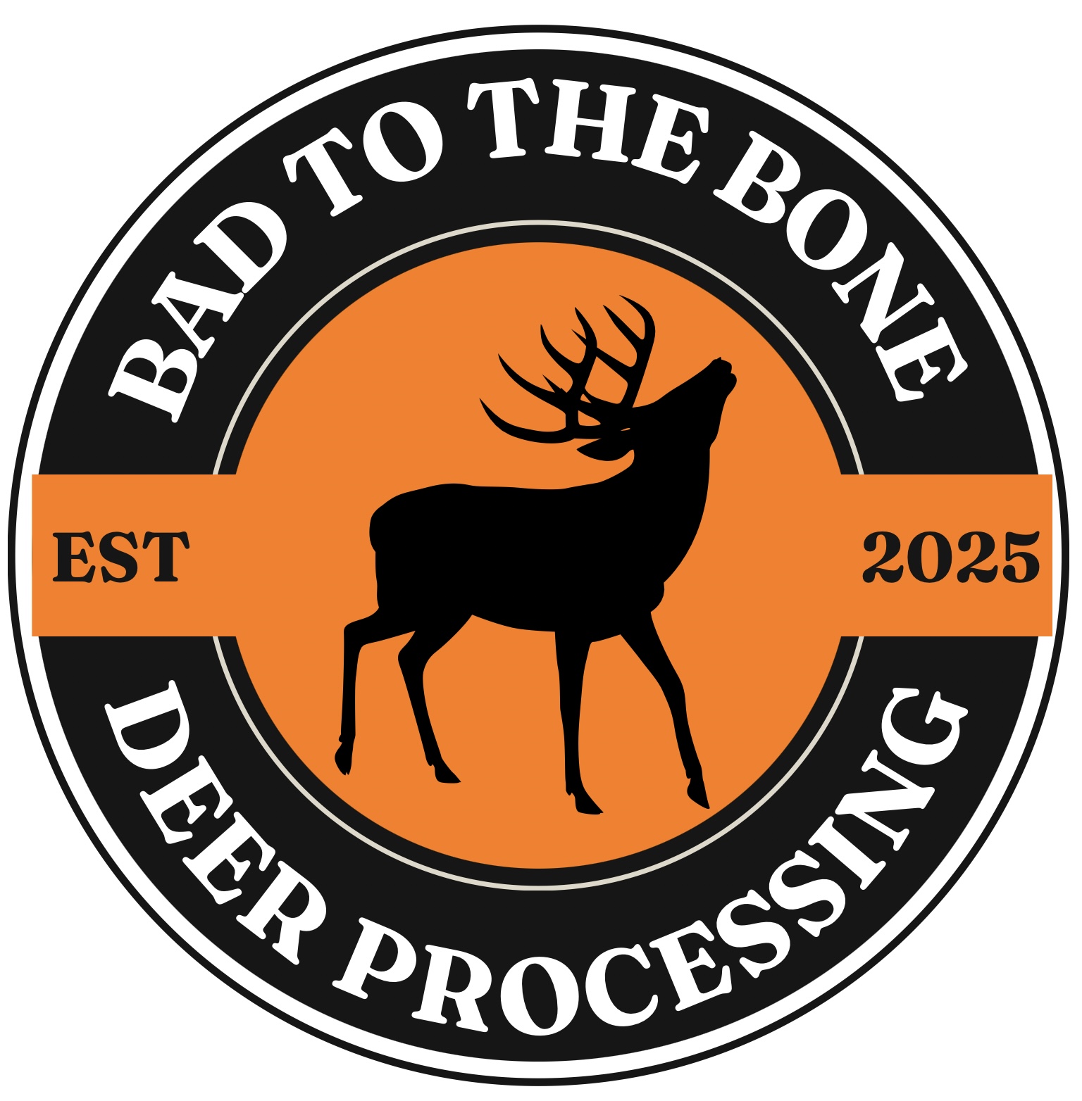 Bad To The Bone Processing cover